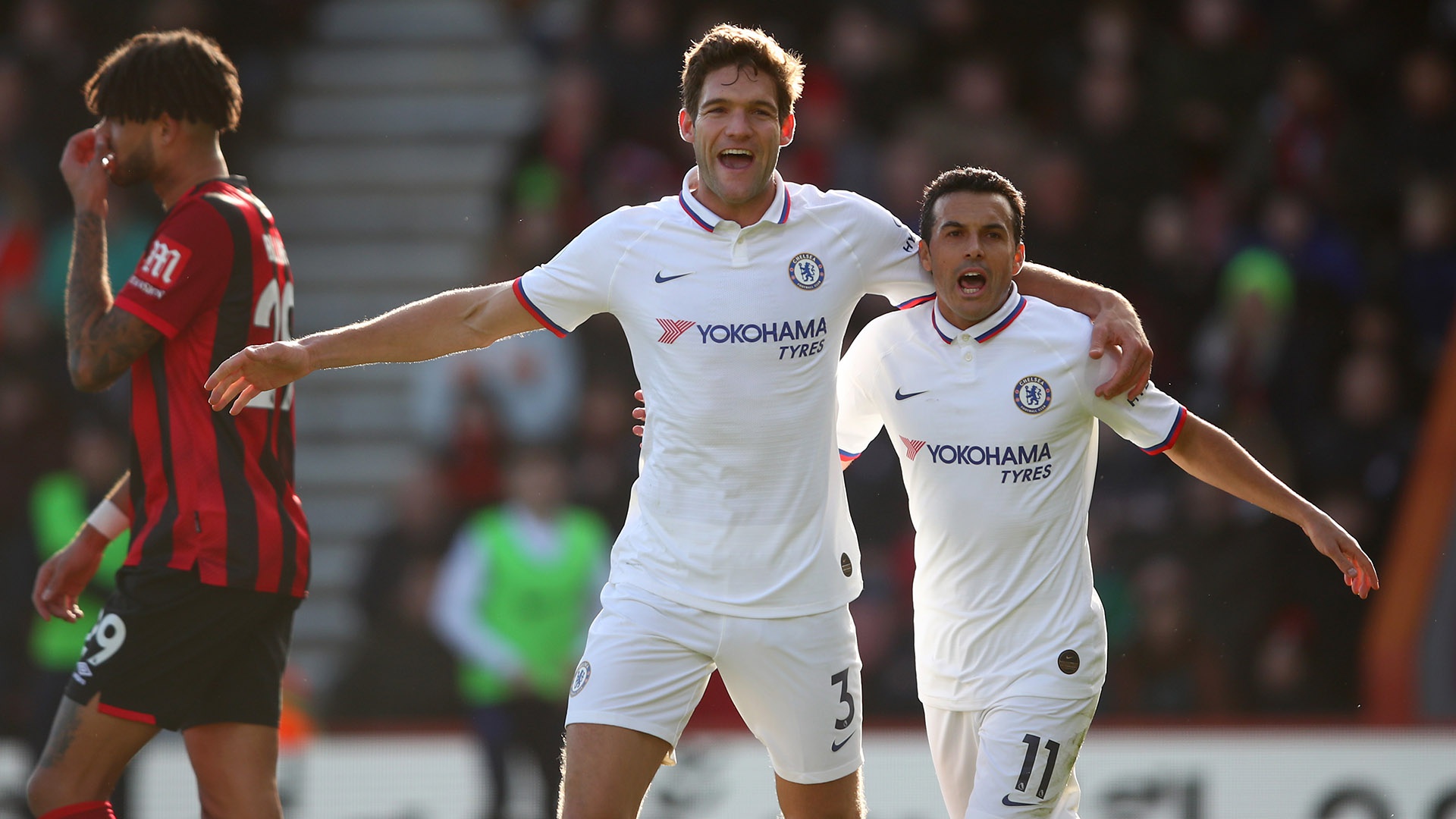 机械设备-塑料板全自动加工设备